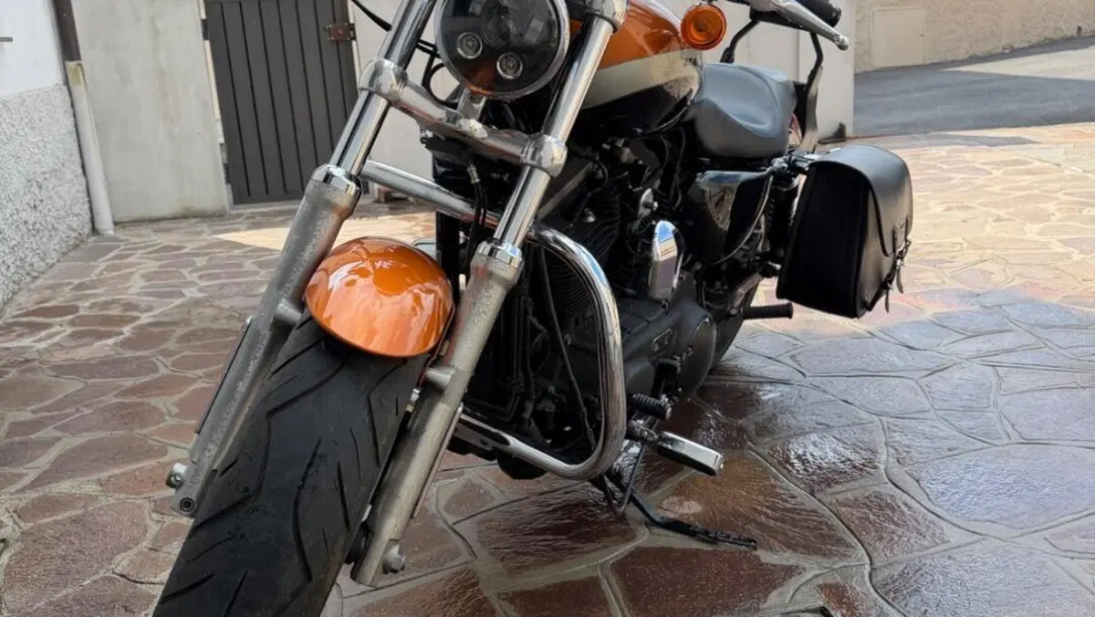 Harley-Davidson 1200 Custom ABS (2014 - 16) - XL 1200C  (9)