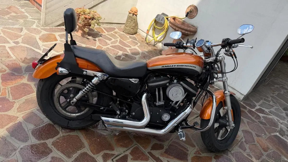 Harley-Davidson 1200 Custom ABS (2014 - 16) - XL 1200C  (10)