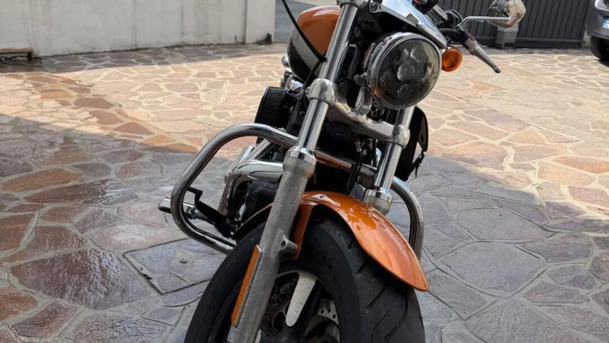 Harley-Davidson 1200 Custom ABS (2014 - 16) - XL 1200C  (11)