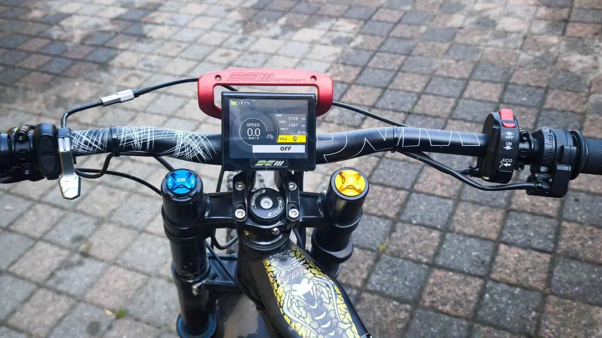  Altre moto o tipologie Elettrico  (8)