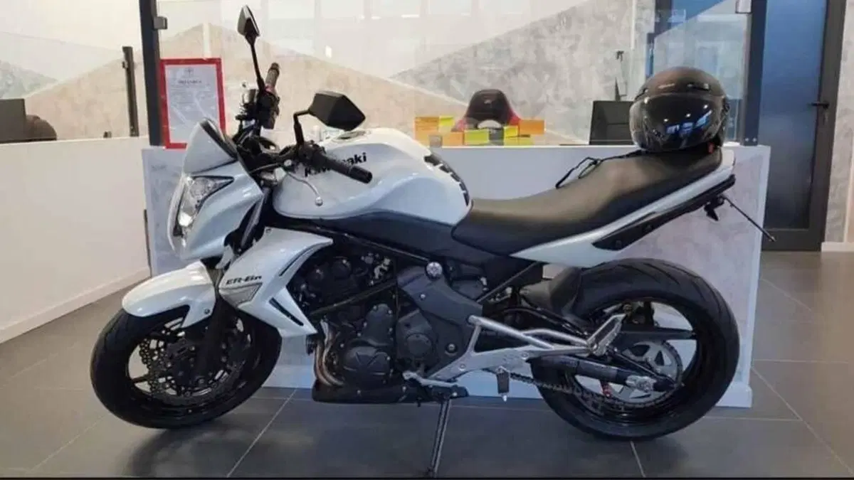Kawasaki ER-6N (2009 - 11)  (3)