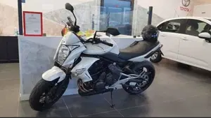 Kawasaki ER-6N (2009 - 11)  (5)