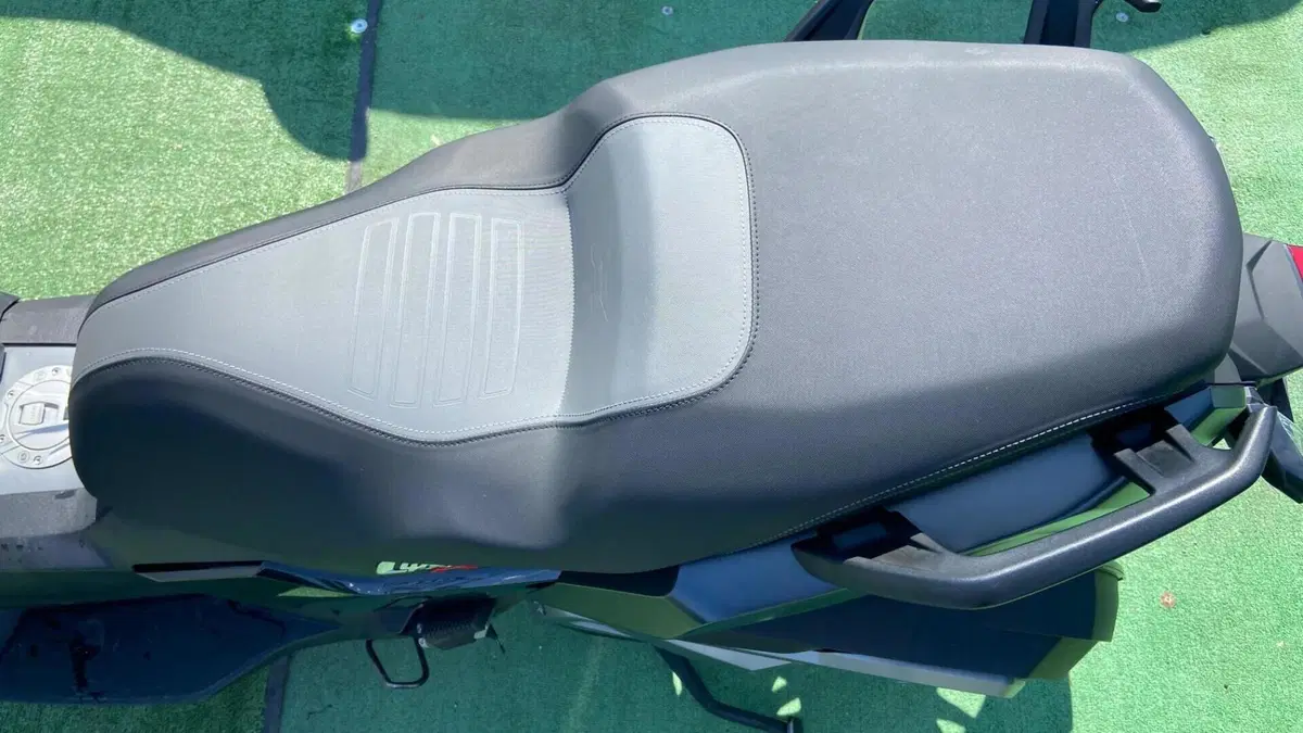 Bmw C 400 X (2021 - 24)  (8)