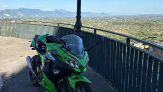 Kawasaki Ninja 400 Performance (2023)