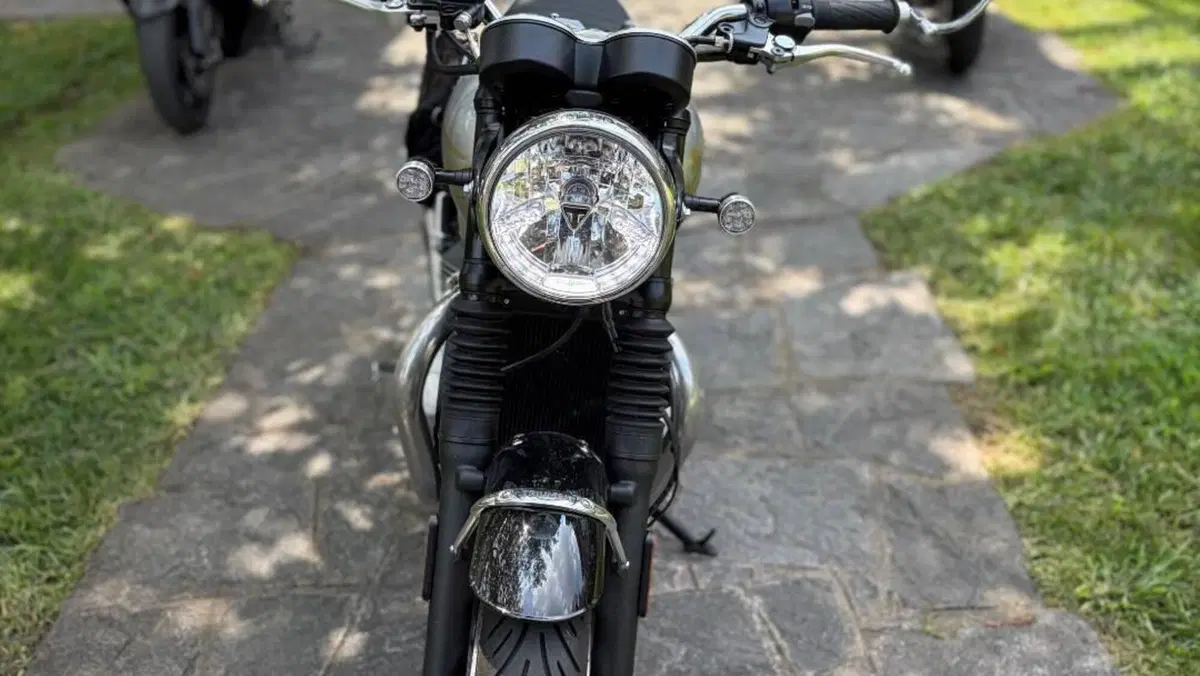 Triumph Bonneville T120 Icon Edition (2025 - 26)  (5)