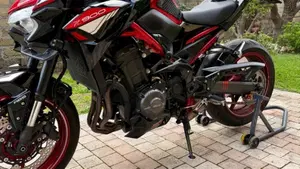 Kawasaki Z 900 (2021 - 24)  (15)