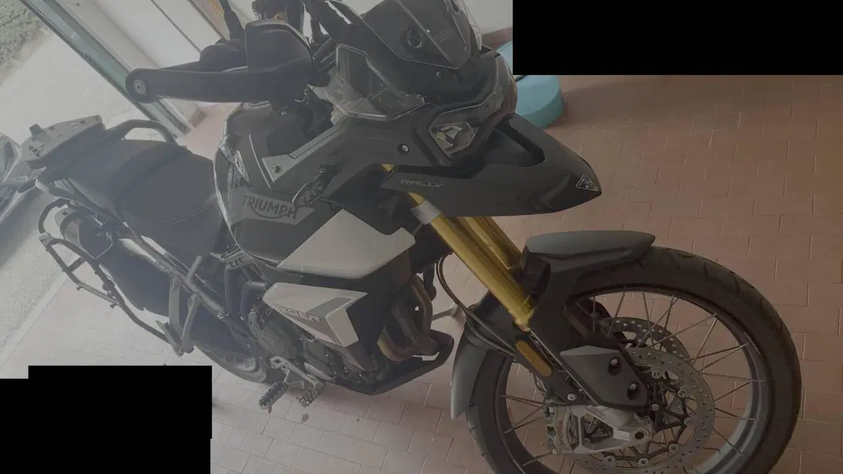 Triumph Tiger 900 Rally (2020 - 23)  (2)