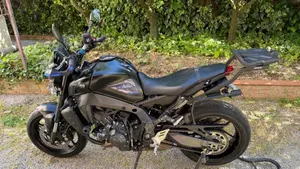 Yamaha MT-09 (2021 - 23)  (4)