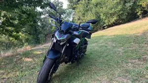 Kawasaki Z 900 (2025 - 26) 