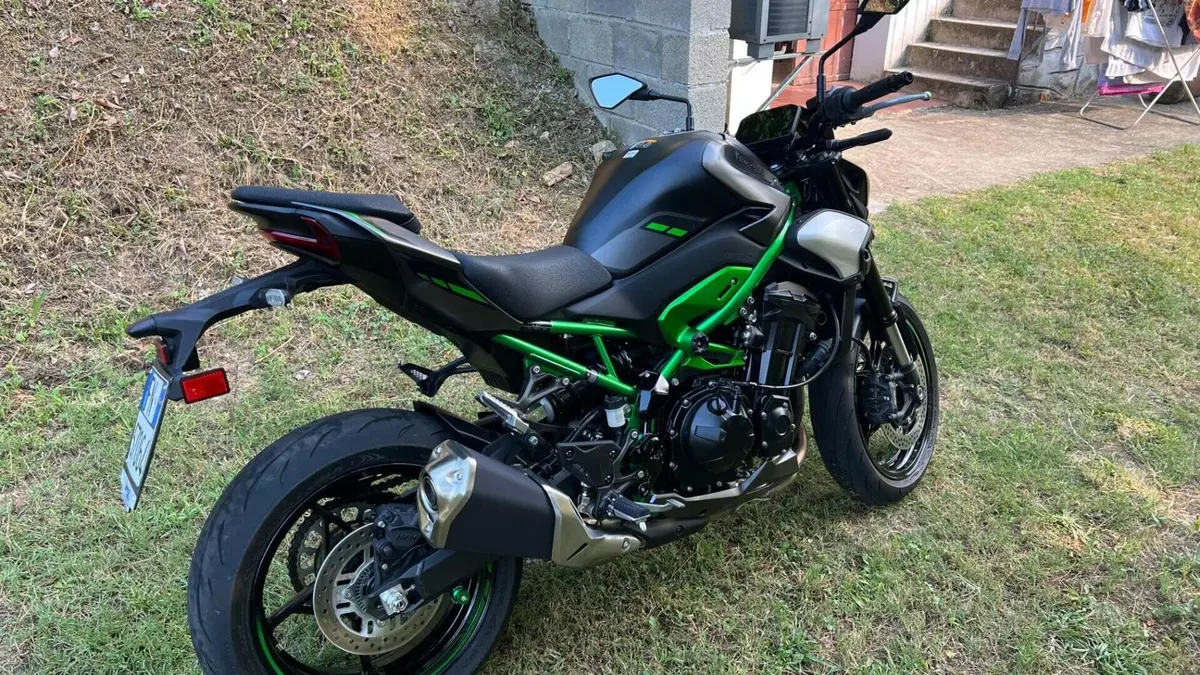 Kawasaki Z 900 (2025 - 26)  (2)