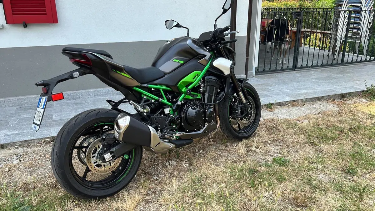 Kawasaki Z 900 (2025 - 26)  (3)