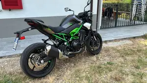 Kawasaki Z 900 (2025 - 26)  (3)