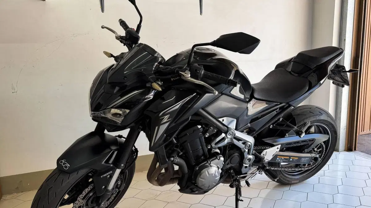 Kawasaki Z 900 Performance (2019) 
