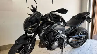 Kawasaki Z 900 Performance (2019) usata