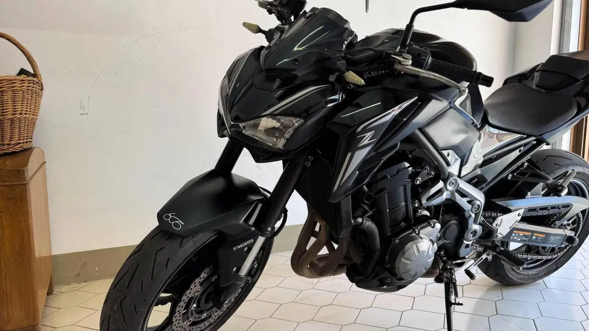 Kawasaki Z 900 Performance (2019)  (6)