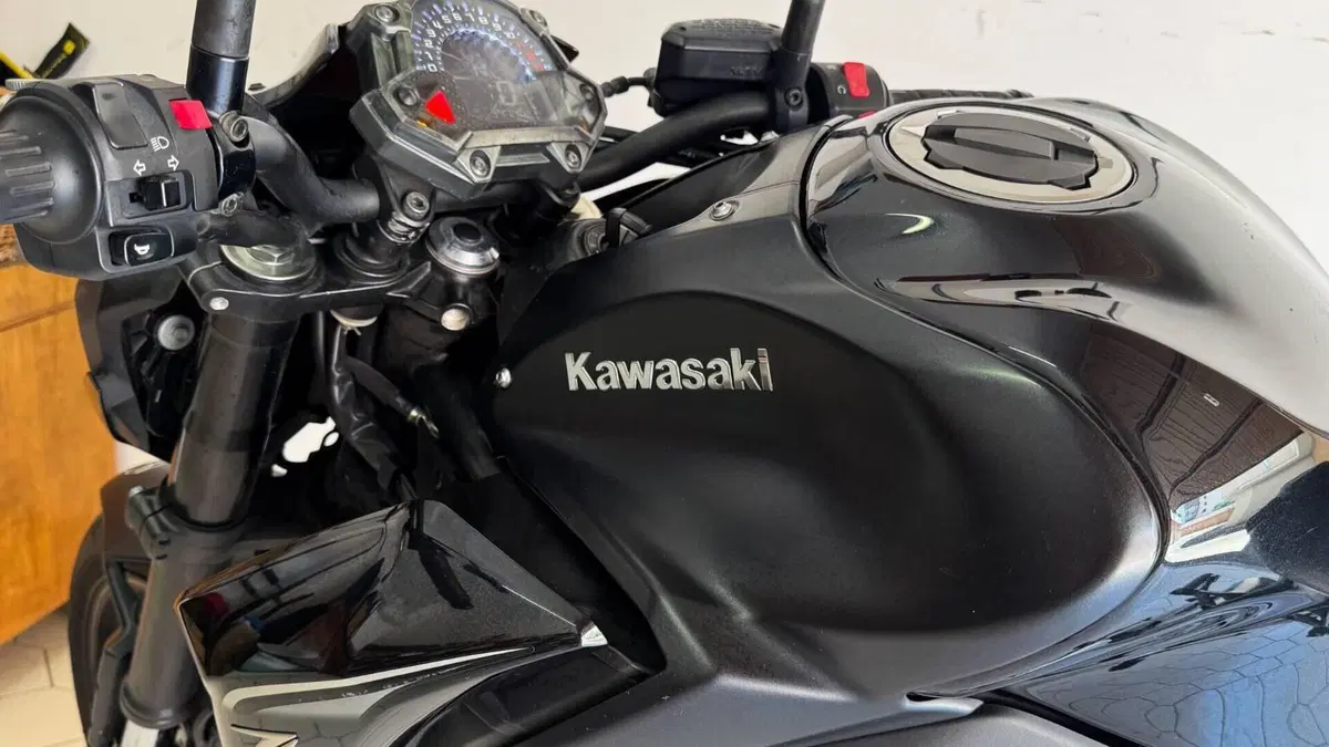 Kawasaki Z 900 Performance (2019)  (7)