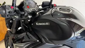 Kawasaki Z 900 Performance (2019)  (7)