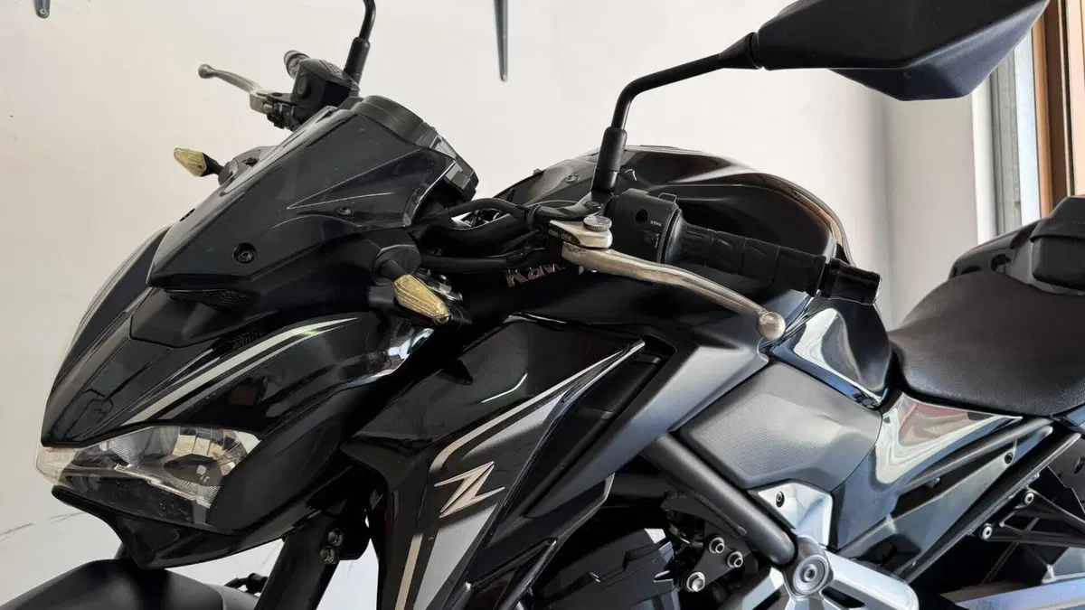 Kawasaki Z 900 Performance (2019)  (11)