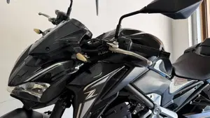 Kawasaki Z 900 Performance (2019)  (11)