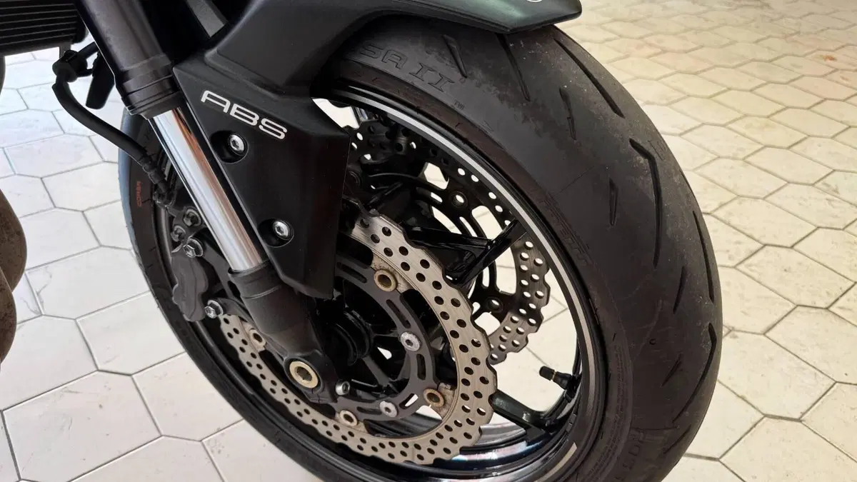 Kawasaki Z 900 Performance (2019)  (14)