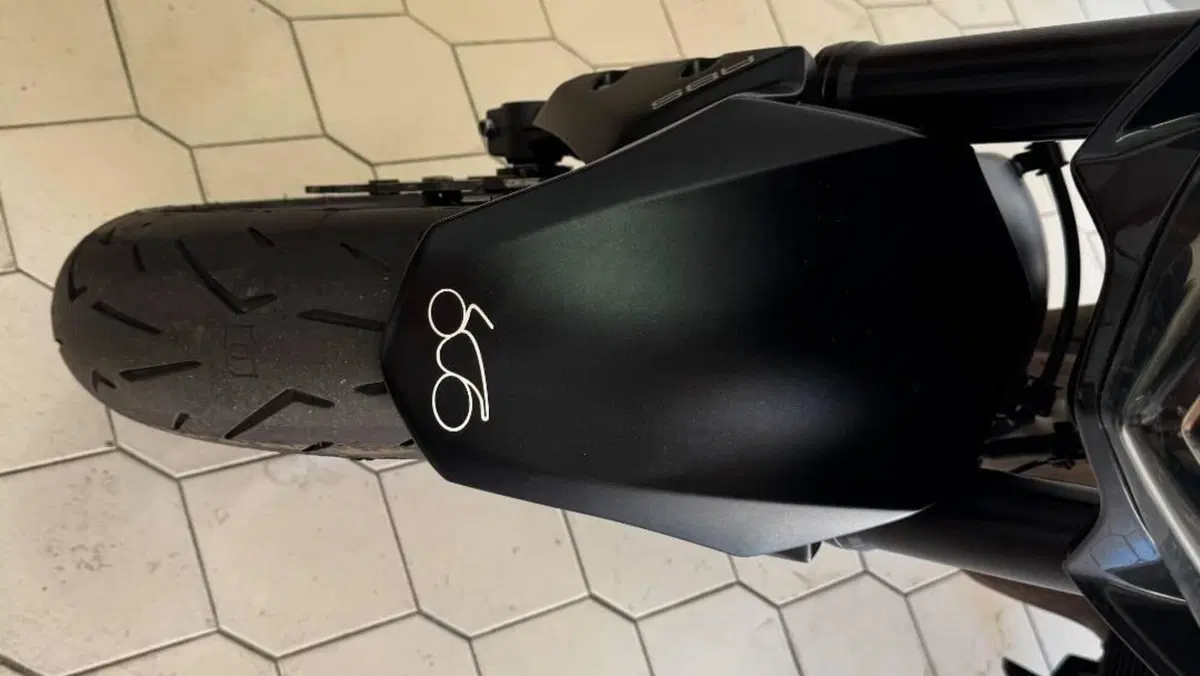 Kawasaki Z 900 Performance (2019)  (15)