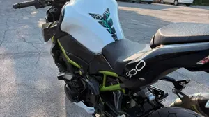 Kawasaki Z 900 (2020)  (7)