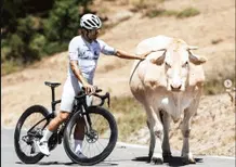  Jorge Martin: com'è dura pedalare!