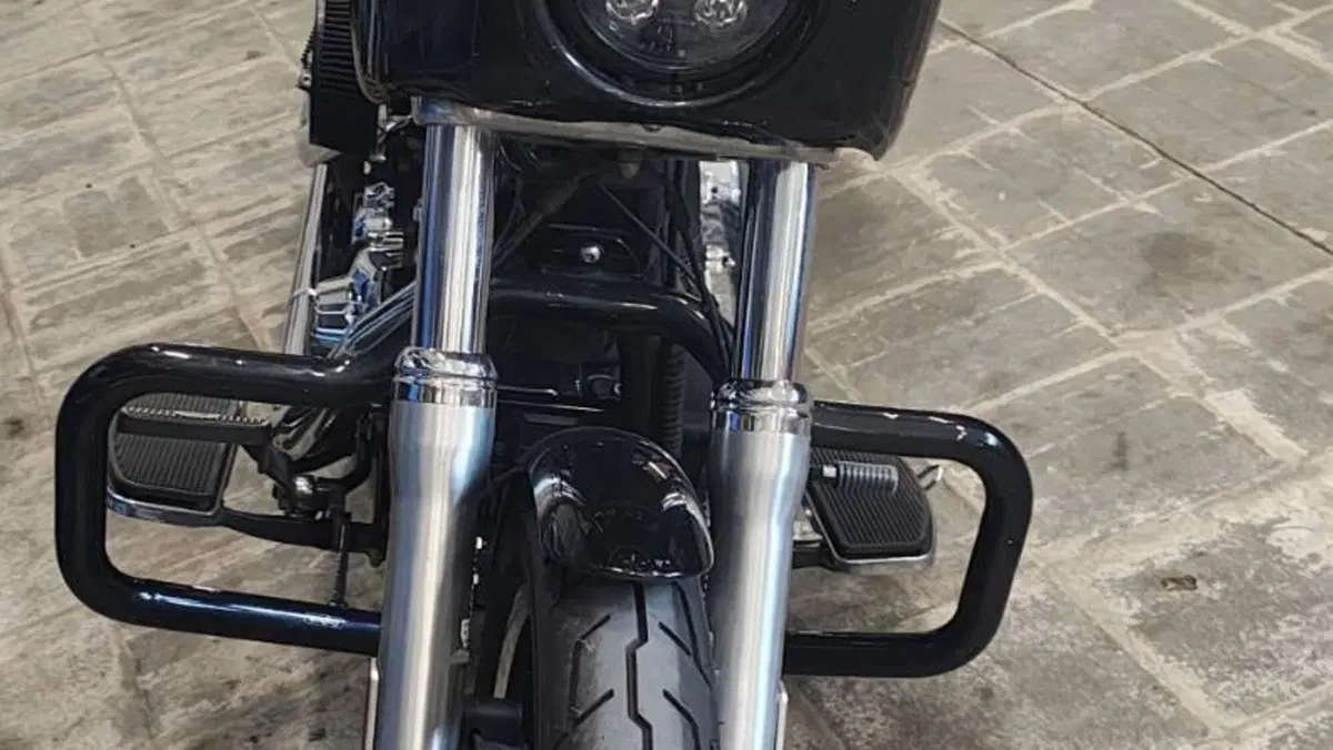 Harley-Davidson 1690 Low Rider (2014 - 17) - FXDL  (2)