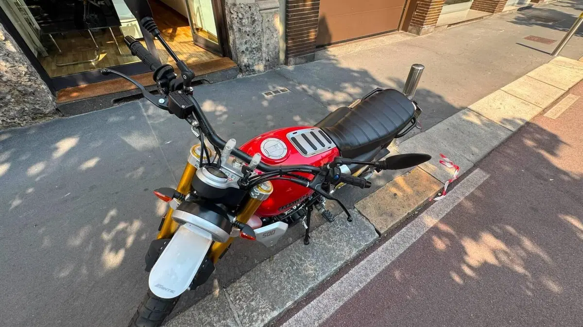 Fantic Motor Caballero 500 Scrambler (2021 - 23)  (8)
