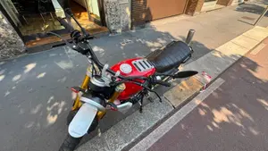 Fantic Motor Caballero 500 Scrambler (2021 - 23)  (8)
