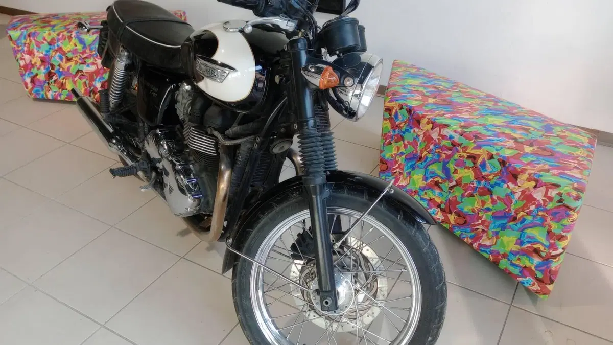 Triumph Bonneville T100 (2008 - 16)  (2)