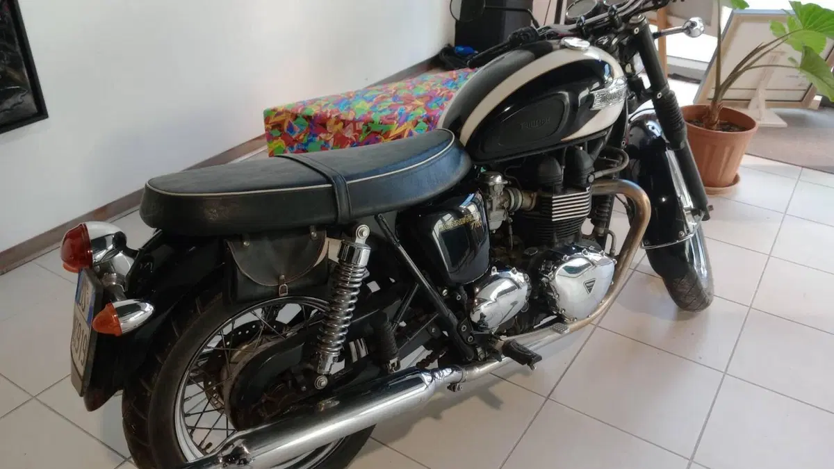 Triumph Bonneville T100 (2008 - 16)  (3)