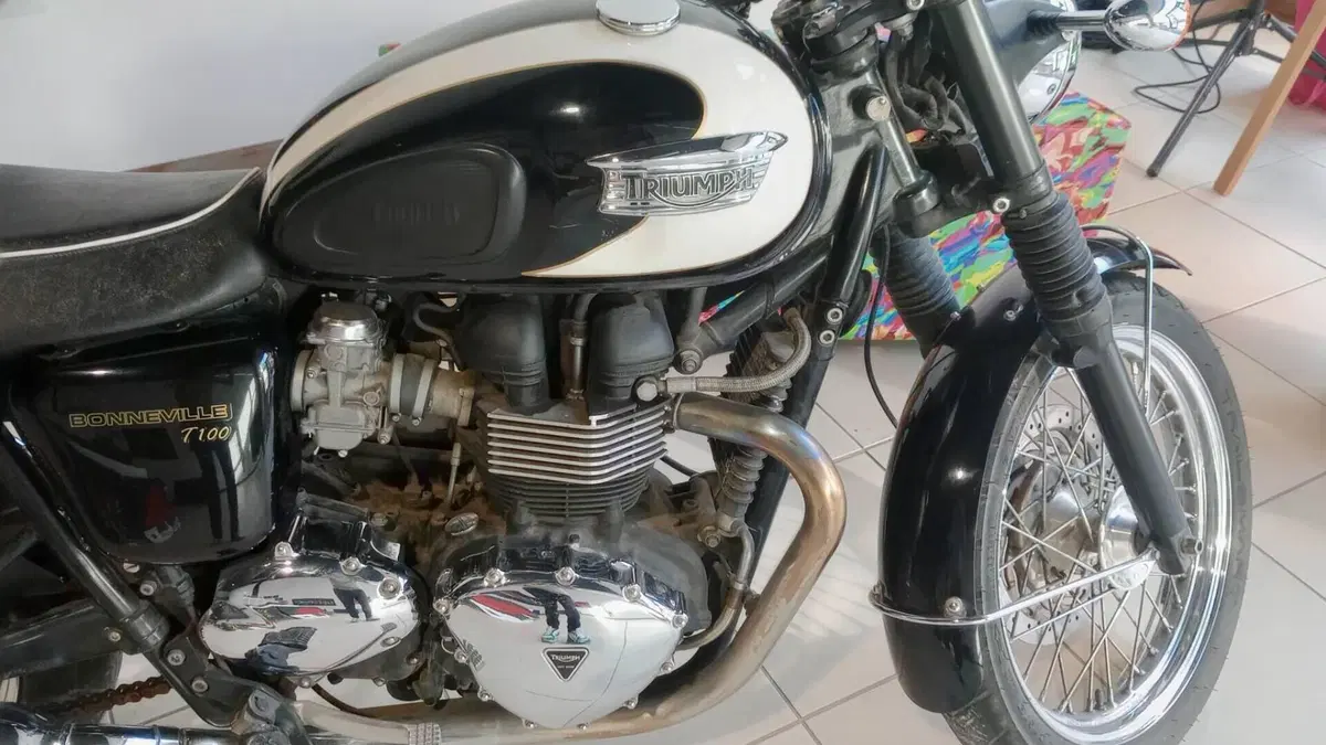 Triumph Bonneville T100 (2008 - 16)  (4)