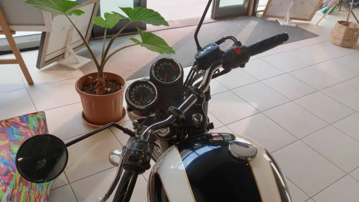 Triumph Bonneville T100 (2008 - 16)  (5)