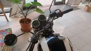 Triumph Bonneville T100 (2008 - 16)  (5)