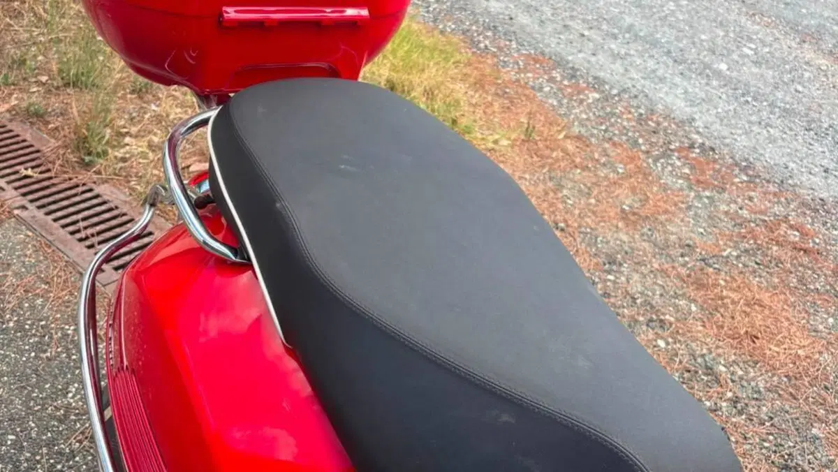 Vespa GTS 300 (2017 - 18)  (8)