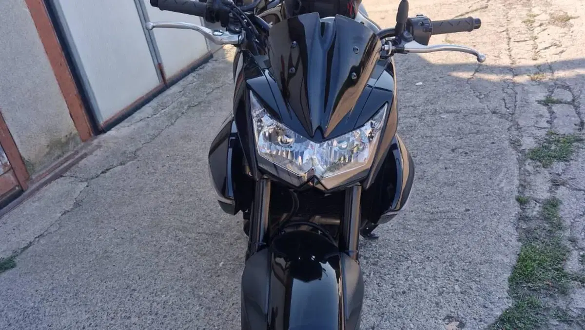 Kawasaki Z 1000 (2007 - 09)  (6)