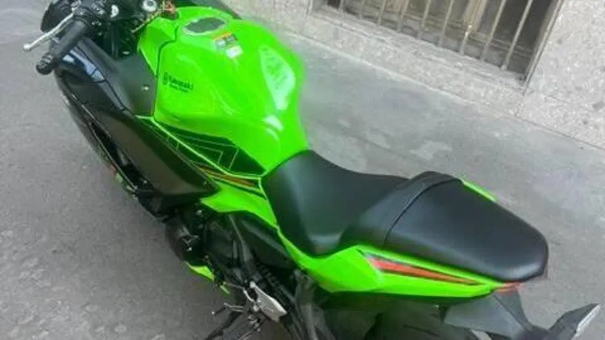 Kawasaki Ninja 650 (2021 - 24)  (11)