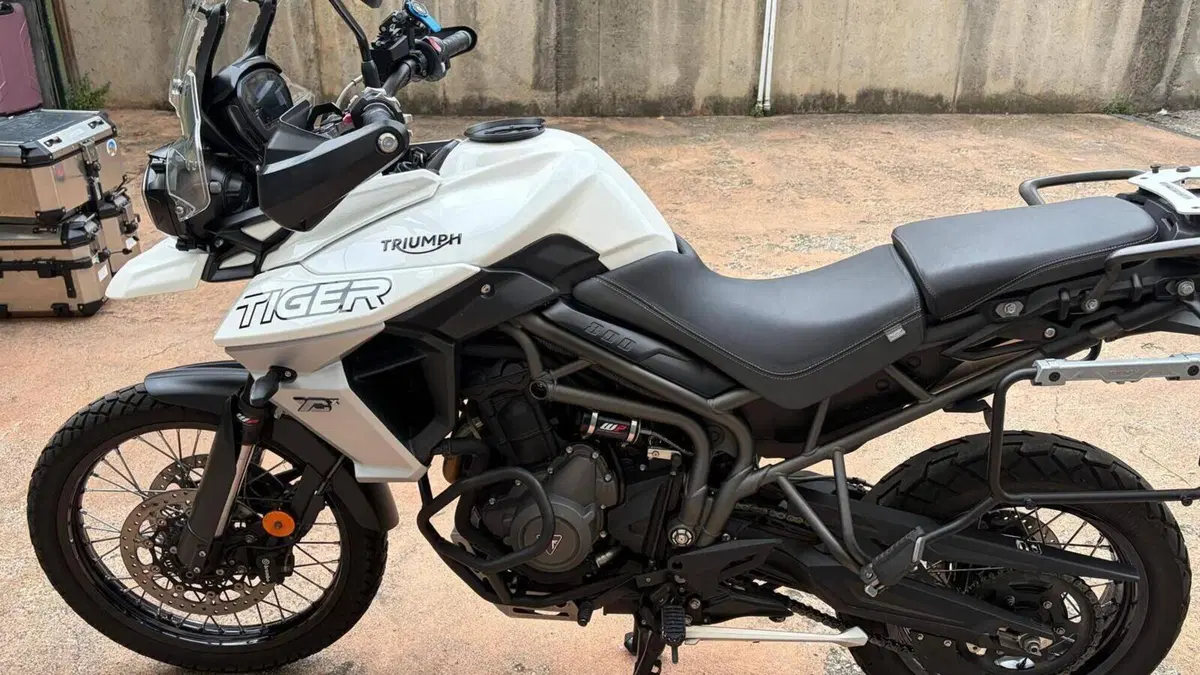 Triumph Tiger 800 XC (2018)  (4)
