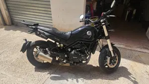 Benelli Leoncino 500 (2021 - 25) 