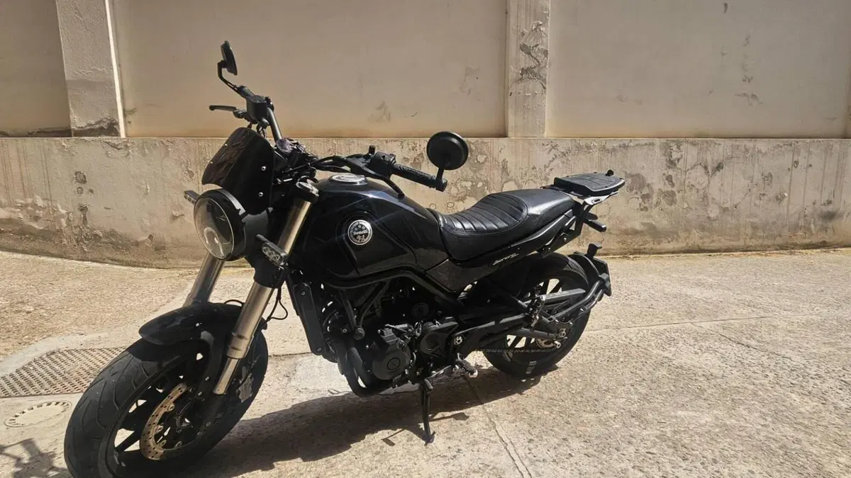 Benelli Leoncino 500 (2021 - 25)  (3)