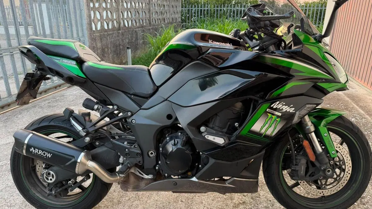 Kawasaki Ninja 1000 SX (2021 - 24)  (2)