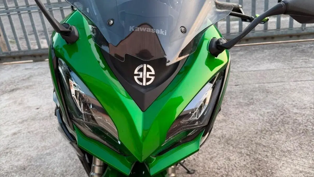 Kawasaki Ninja 1000 SX (2021 - 24)  (4)