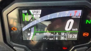 Kawasaki Ninja 1000 SX (2021 - 24)  (6)