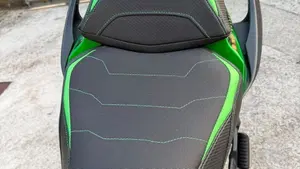Kawasaki Ninja 1000 SX (2021 - 24)  (9)