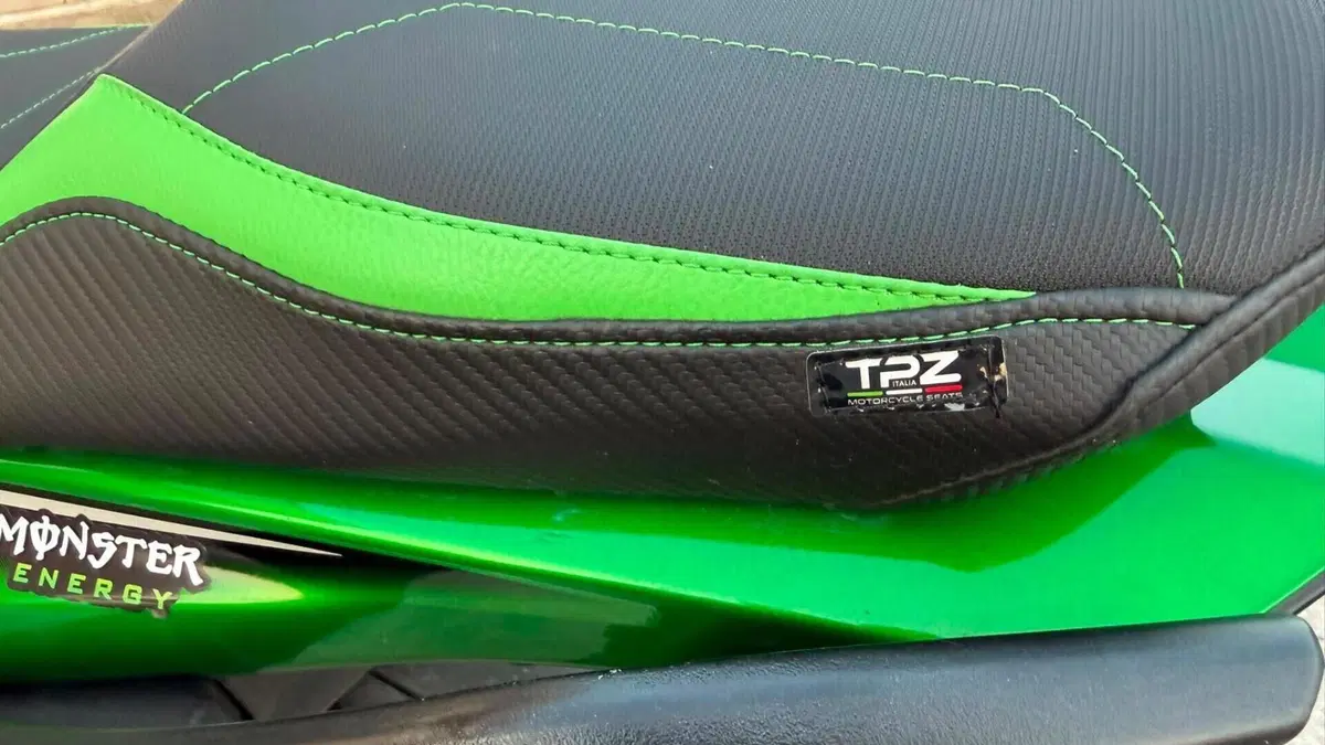 Kawasaki Ninja 1000 SX (2021 - 24)  (10)