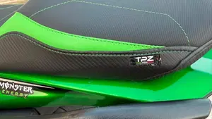 Kawasaki Ninja 1000 SX (2021 - 24)  (10)