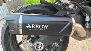Kawasaki Ninja 1000 SX (2021 - 24)  (11)