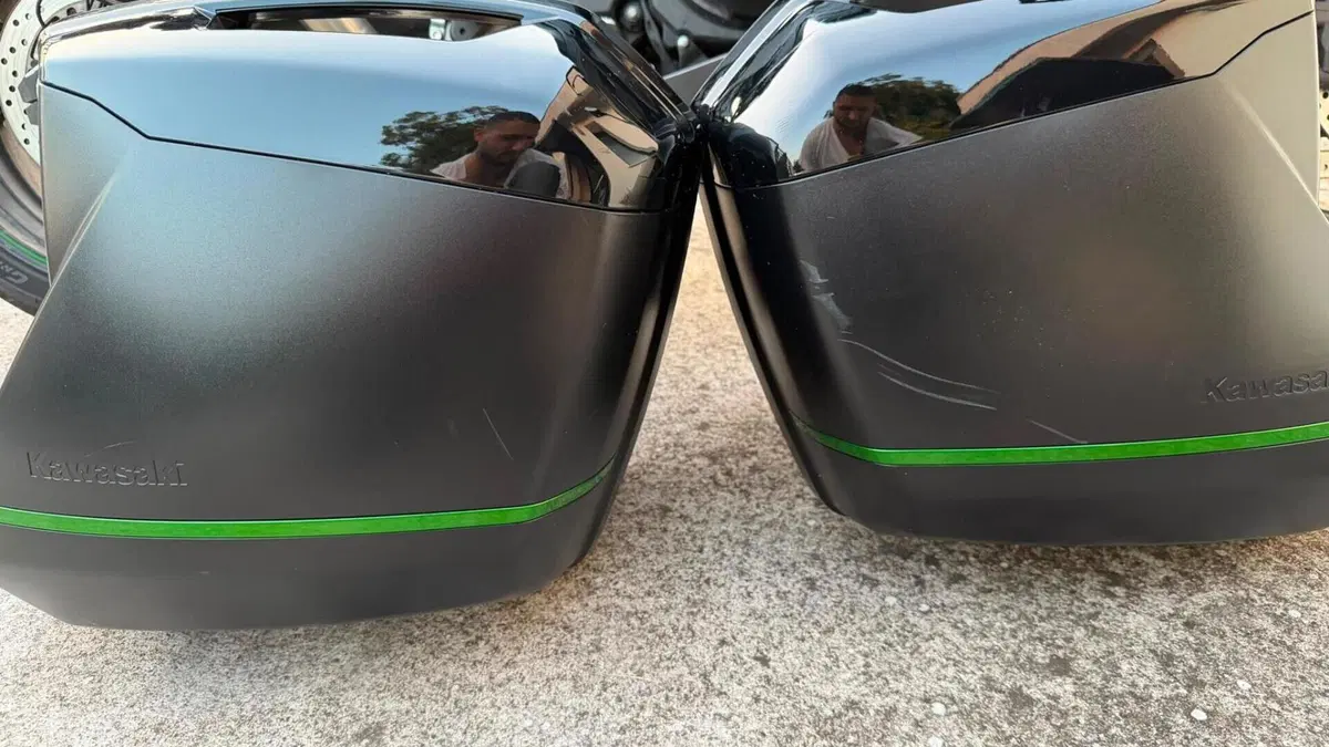 Kawasaki Ninja 1000 SX (2021 - 24)  (12)