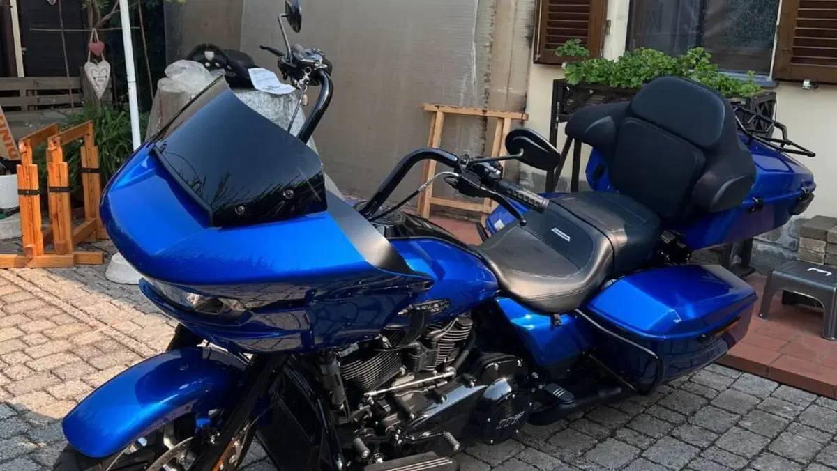Harley-Davidson Road Glide Limited (2021 - 25)  (2)